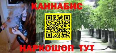 Альфа ПВП Обнинск