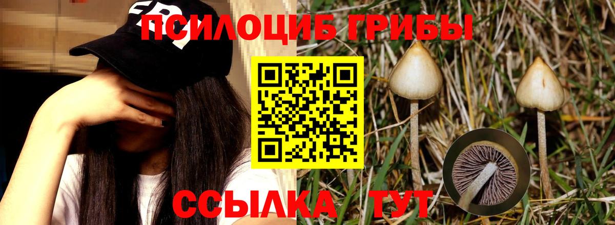 Югорск  Галлюциногенные грибы MAGIC MUSHROOMS  даркнет сайт  Галлюциногенные грибы GOLDEN TEACHER  Вход с VPN 
